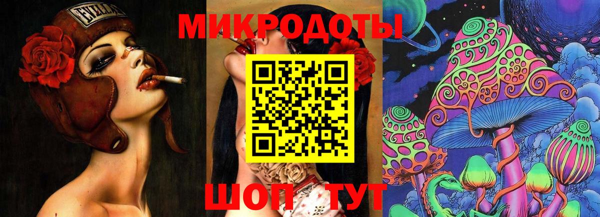 Псилоцибиновые грибы Psilocybine cubensis Знаменск